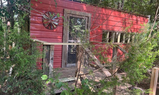 Leesville Other | The Happy Place In The Trees