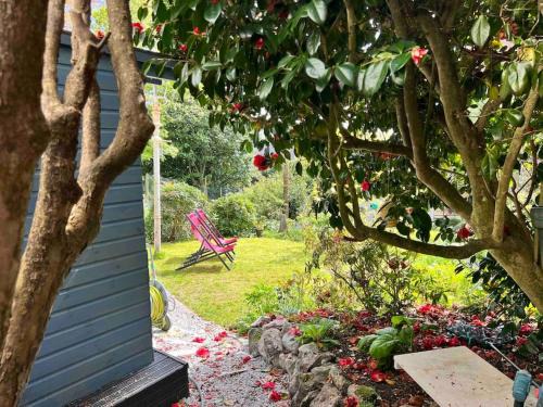 St Austell Apartment | The Hive