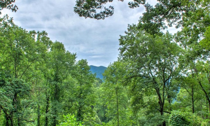 Weaverville House | The Honeybee Hideaway
