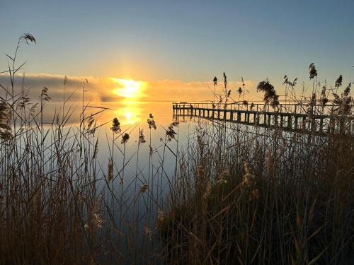Barmera House | The Jetty House - Lake Bonney Riverland