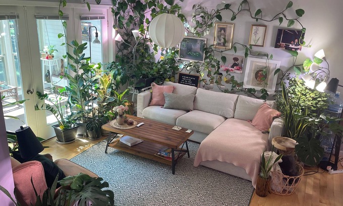 Summit - University House | The Jungle House- Sunny, Cheerful, Townhouse.