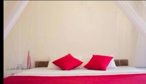 Kalpitiya Hotel | The kiteclub kalpitiya