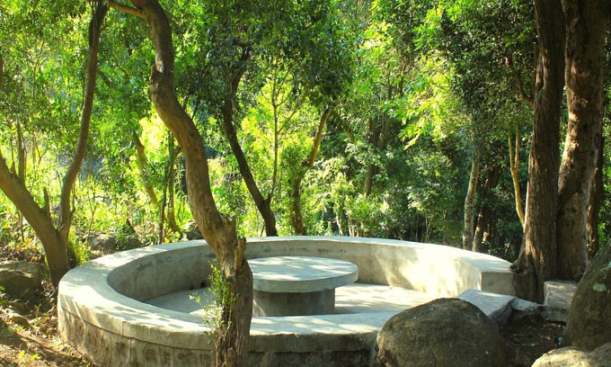 Yercaud Hotel | The Last Shola Cottages