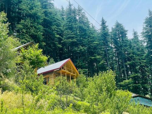 Banjar Ski Chalet | The Latoda forest edge duplex cottage in jibhi