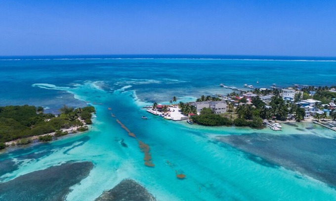 Caye Caulker Apartment | The Lily Pad II