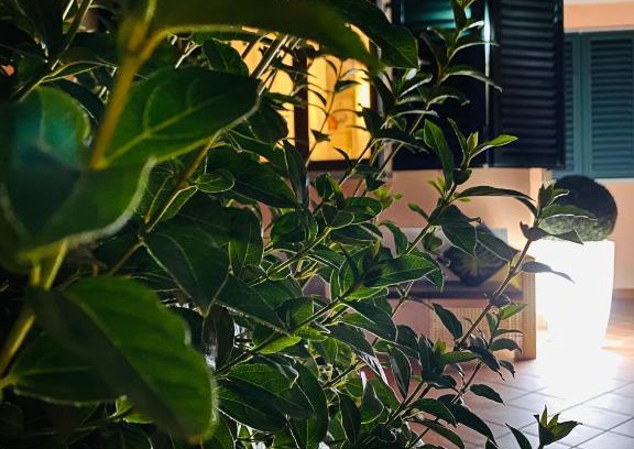 Empoli Apartment | The Loft E&E Open Space
