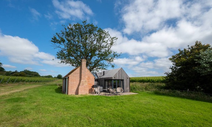 Stone in Oxney Cottage | The Lookers Legacy