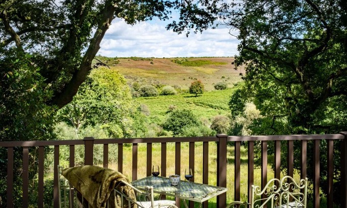 New Forest District House | The Lookout