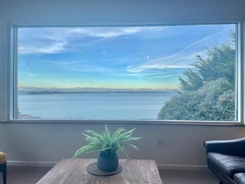 Newcastle House | The Lookout