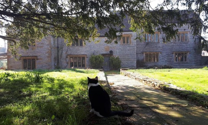 Curry Mallet House | The Manor House, Curry Mallet
