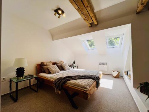 Jesenik Apartment | The Mountain Sky Apartment - prostorný loft 198 m2 s lesem za okny vhodný pro rodiny s dětmi, terasa, dětský koutek, parkování zdarma
