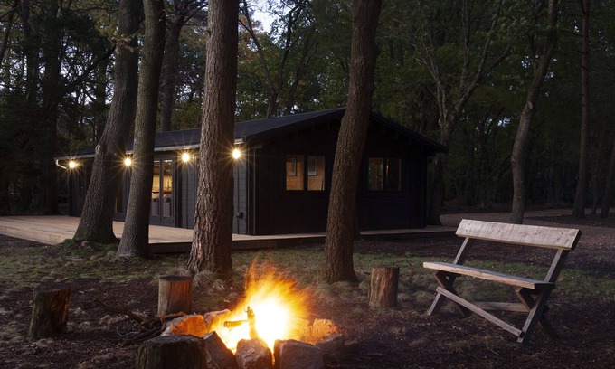 New Forest District Cabin | The New Forest Cabin in 12 acres of private woodland