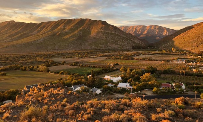 Prince Albert Villa | The Olive House, Prince Albert