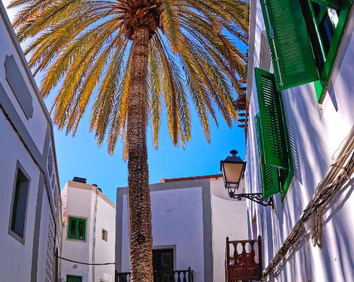 Lomo Quiebre Apartment | The Palm House