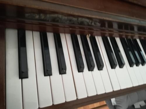 Zavalatica Apartment | The Piano Apartment