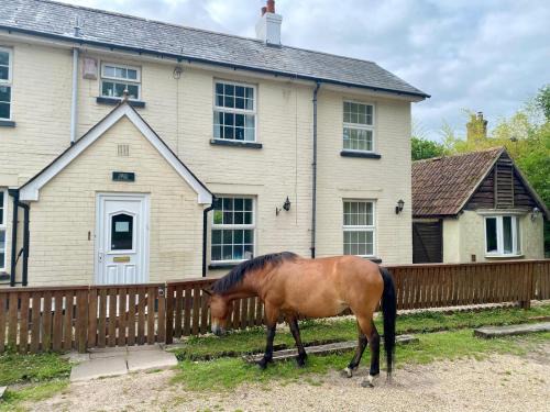New Forest District House | The Pigs' Pantry, Burley
