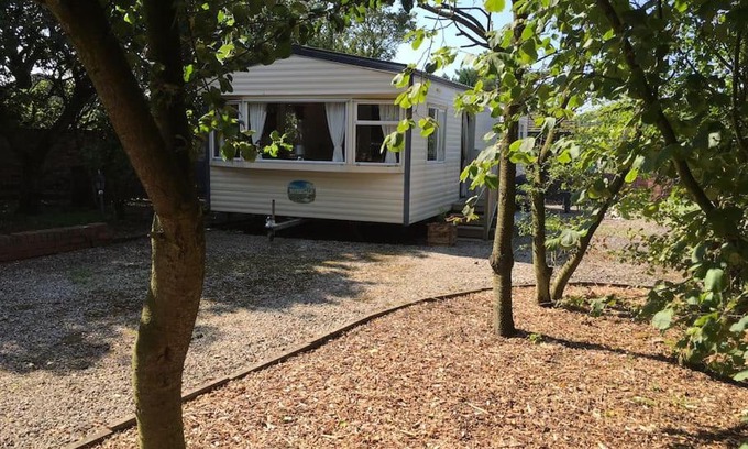 Ormskirk Other | The Pony Pad