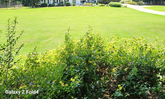 Fayetteville House | The Potter's Home House on Five Acres close to Trilith studios, Senoia and PTC