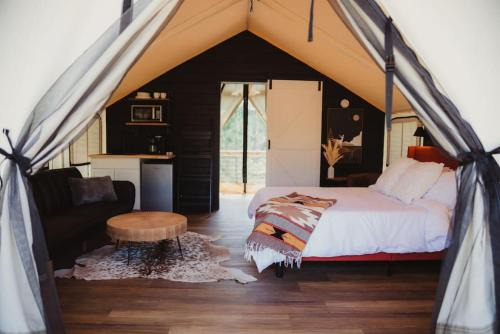 Cadiz Other | The Richbourg, Lux Safari Tent