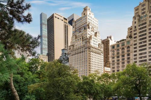Central Park South Hotel | The Ritz-Carlton New York, Central Park