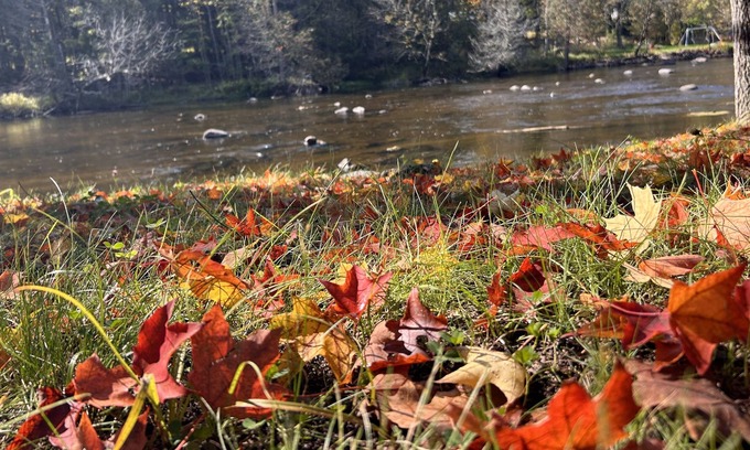 Suring Cottage | The Rivers Edge Cottage! ATV-UTV-Snowmobiling right out your front door!