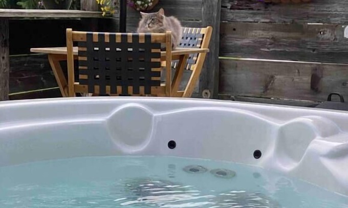 Brew Bay Other | The Roost - Brand New Private Suite with Hot Tub