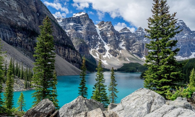 Calgary House | The Royal YYC - 10 min to Airport - 1.5hr to Banff