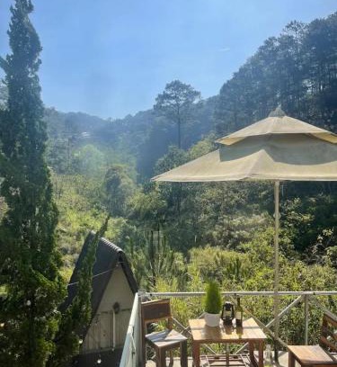 Da Lat Hotel | The Sound Of Silence Homestay Đà Lạt