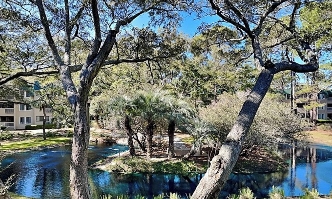 Palmetto Dunes Condo | The Spa 1219