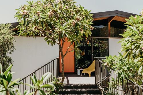 Fingal Bay House | The Sundowner, 25 Lentara St - luxury pet friendly retreat with pool