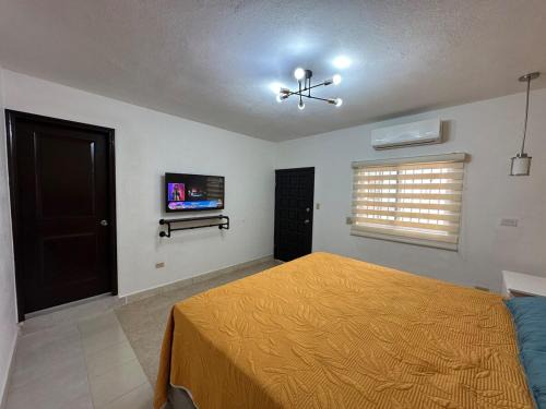 Centro Apartment | The Tiger's Corner
