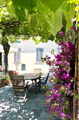 Pistoia House | The Tuscany Rose