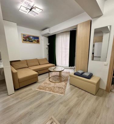 Sector 3 Apartment | The Velvet Studio