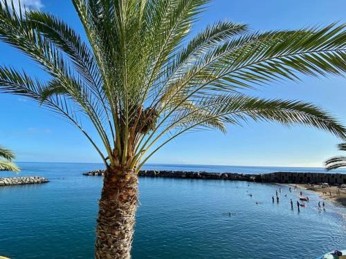 Arco da Calheta Apartment | The Vibe Madeira Apartment 2
