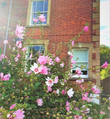 Bridport Bed & Breakfast | The Victorian House