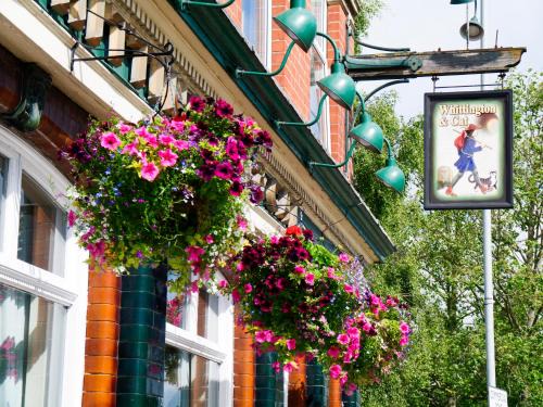 Hull Hotel | The Whittington and Cat