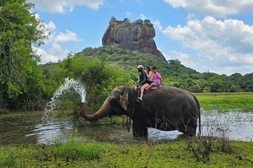 Sigiriya Hotel | The Wild Elephant Resort