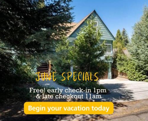 Cedar Glen House | TheDragon's Den Mega Cabin Sleeps 12