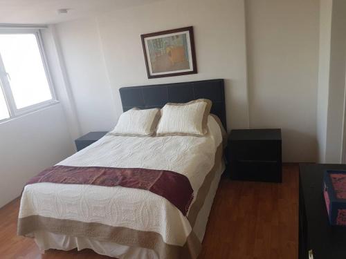 Anahuac Apartment | Thiers Appt