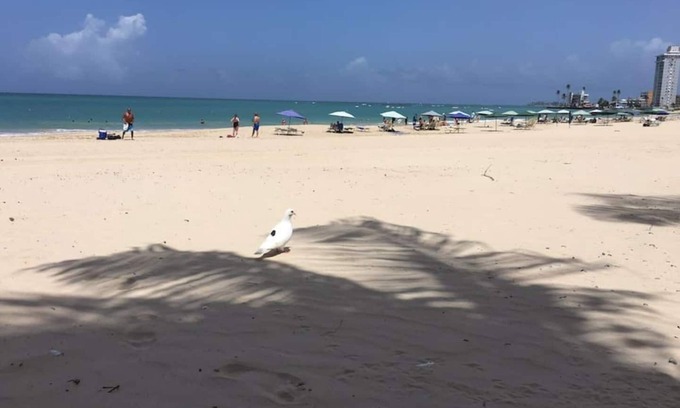 Punta Las Marias Apartment | This apartment is a 2 bedroom(s), 1 bathrooms, located in San Juan, PR.