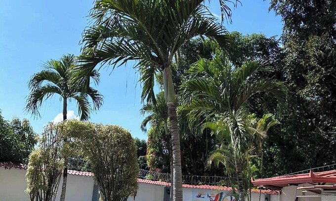 Orotina Apartment | Thompson House, Costa Rica, Orotina, the town that is close to everything
