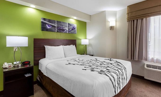 Temple Terrace House | Thoughtfully Furnished Room for a Comfortable Stay