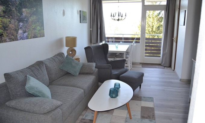 Landkreis Goslar Apartment | Tinharz Holiday ApartmentnPeace and tranquility in the Harz .Dogfriendly.