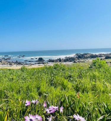 La Ligua Apartment | tiny house frente al mar