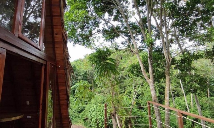Santa Marta Cabin | Tiny Houses Unique Tayrona
