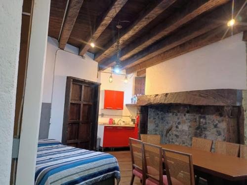 Coyoacan Apartment | Tizapan 01 NEW 1BE&1BA