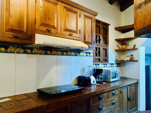 Coyoacan Apartment | Tizapan 02 NEW 1BE&1BA