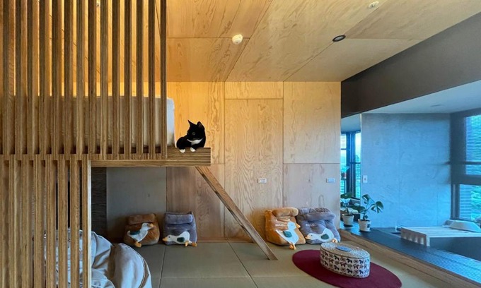 Toucheng Apartment | Toucheng Joyful 宜蘭海景民宿-頭城小確幸 寵物友善 附充電車位