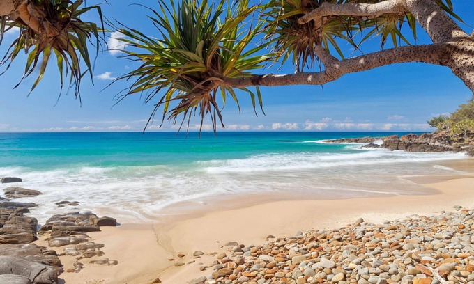 Yaroomba House | Tranquil beach retreat, pool, boardwalk, sleeps 8
