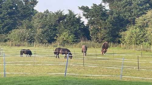 Mablethorpe House | Tranquil Equestrian Escape - Sleeps 2